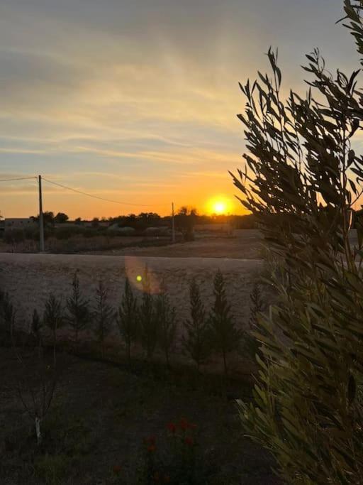 Le Petit Chalet. Essaouira Ngoại thất bức ảnh