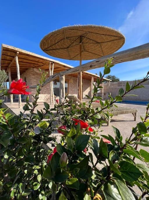 Le Petit Chalet. Essaouira Ngoại thất bức ảnh